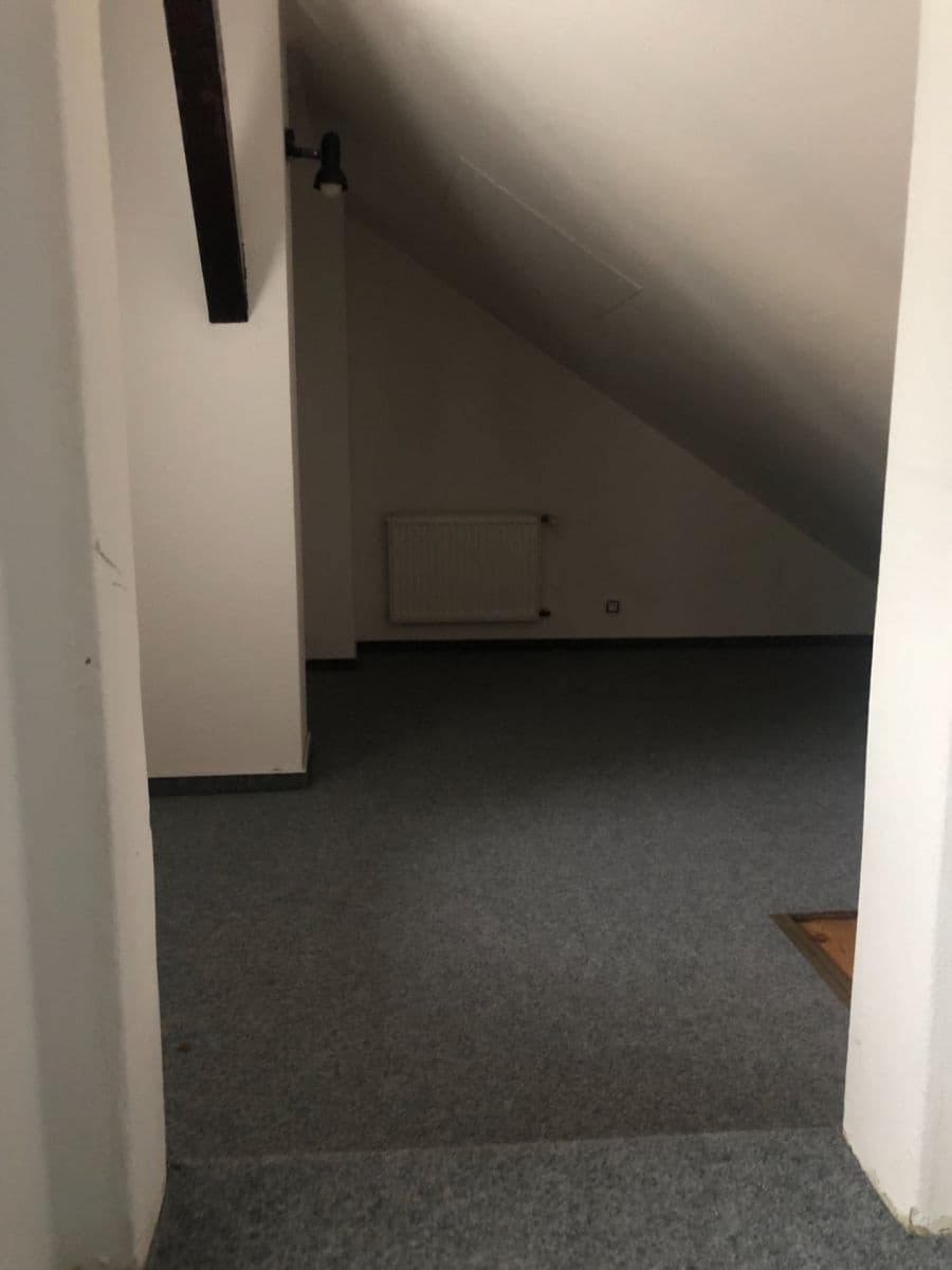 2 bedroom with open-plan kitchen flat to rent, 110 m², Karlovo náměstí, Prague, Prague 2 bedroom with open-plan kitchen flat to rent, 110 m², Karlovo náměstí, Prague, Prague