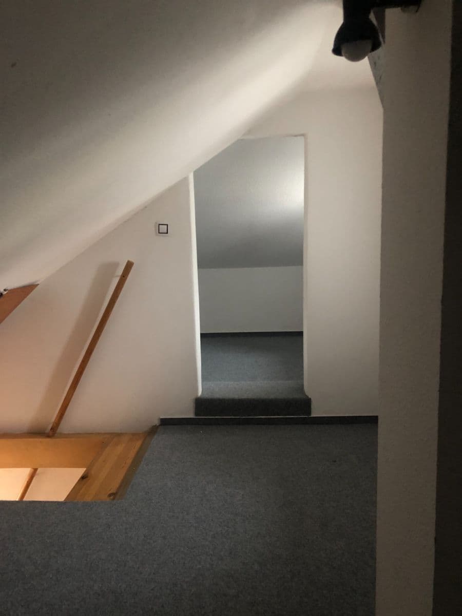 2 bedroom with open-plan kitchen flat to rent, 110 m², Karlovo náměstí, Prague, Prague 2 bedroom with open-plan kitchen flat to rent, 110 m², Karlovo náměstí, Prague, Prague