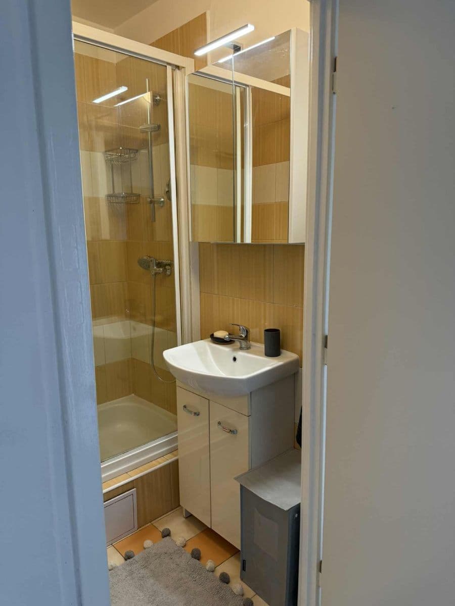 1 bedroom with open-plan kitchen flat for sale, 42 m², Závodní, Děčín, Ústecký Region 1 bedroom with open-plan kitchen flat for sale, 42 m², Závodní, Děčín, Ústecký Region