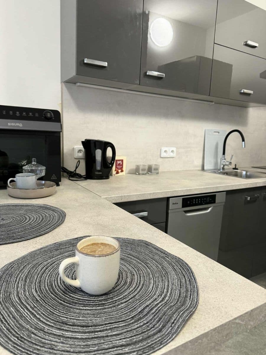 1 bedroom with open-plan kitchen flat for sale, 42 m², Závodní, Děčín, Ústecký Region 1 bedroom with open-plan kitchen flat for sale, 42 m², Závodní, Děčín, Ústecký Region