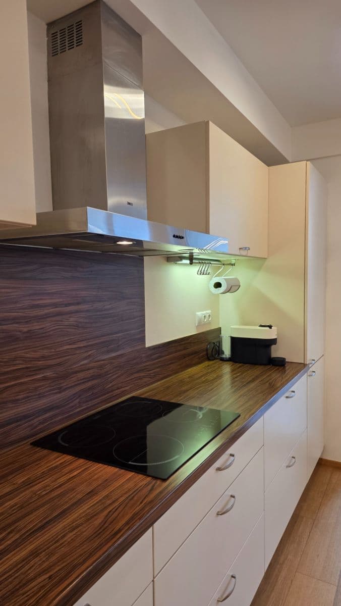 2 bedroom with open-plan kitchen flat to rent, 85 m², Marešova, Prague, Prague 2 bedroom with open-plan kitchen flat to rent, 85 m², Marešova, Prague, Prague