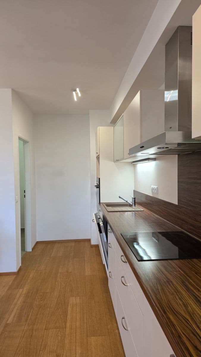 2 bedroom with open-plan kitchen flat to rent, 85 m², Marešova, Prague, Prague 2 bedroom with open-plan kitchen flat to rent, 85 m², Marešova, Prague, Prague