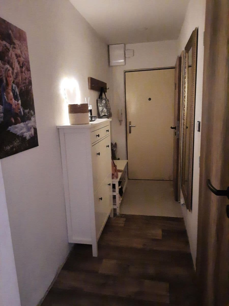 2 bedroom flat for sale, 58 m², sídl. Družba, Židlochovice, Jihomoravský Region 2 bedroom flat for sale, 58 m², sídl. Družba, Židlochovice, Jihomoravský Region