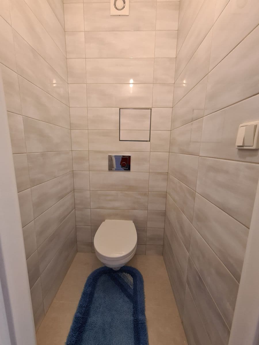 2 bedroom with open-plan kitchen flat to rent, 58 m², Křenická, Prague, Prague 2 bedroom with open-plan kitchen flat to rent, 58 m², Křenická, Prague, Prague