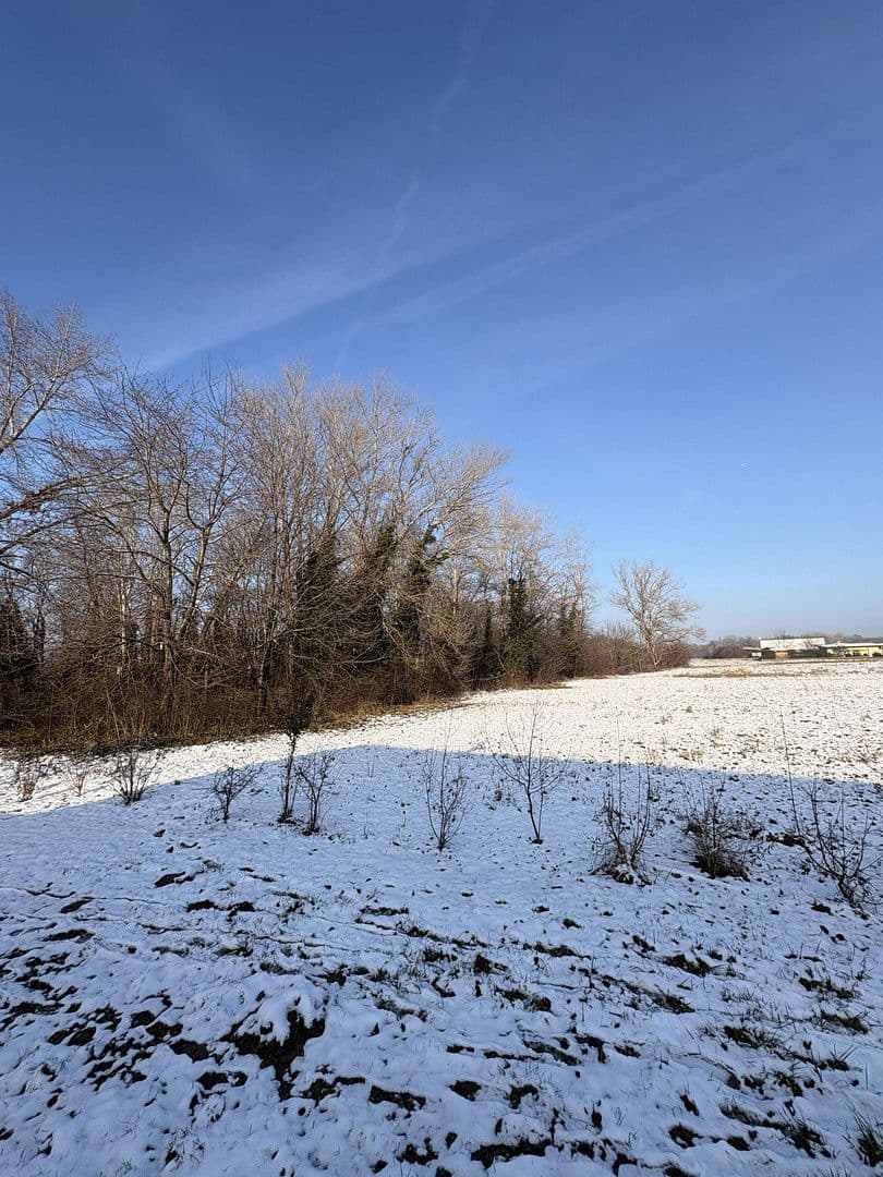 house for sale, 120 m², Wimpassing an der Leitha, Burgenland house for sale, 120 m², Wimpassing an der Leitha, Burgenland