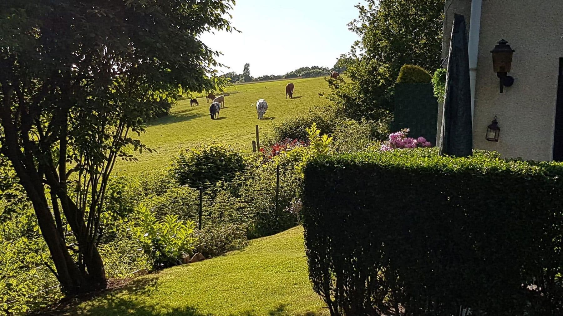 house for sale, 228 m², Solingen, North Rhine-Westphalia house for sale, 228 m², Solingen, North Rhine-Westphalia