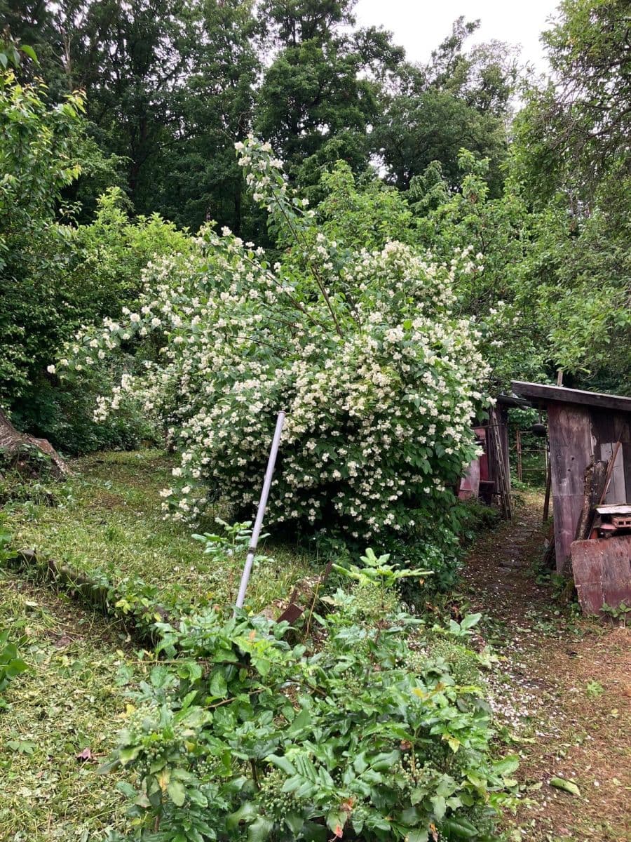 recreational property for sale, 583 m², Brno, Jihomoravský Region recreational property for sale, 583 m², Brno, Jihomoravský Region