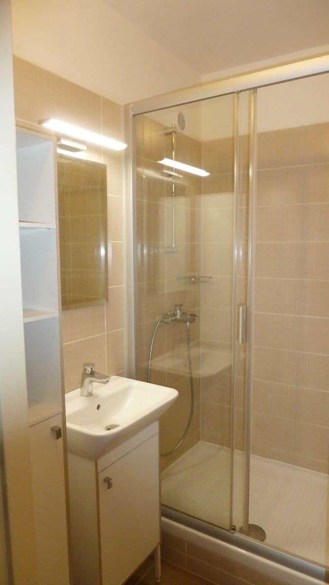 1 bedroom with open-plan kitchen flat to rent, 43 m², Bellušova, Prague, Prague 1 bedroom with open-plan kitchen flat to rent, 43 m², Bellušova, Prague, Prague