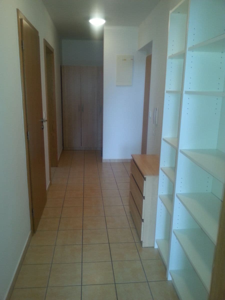 1 bedroom with open-plan kitchen flat to rent, 55 m², Jeseniova, Prague, Prague 1 bedroom with open-plan kitchen flat to rent, 55 m², Jeseniova, Prague, Prague