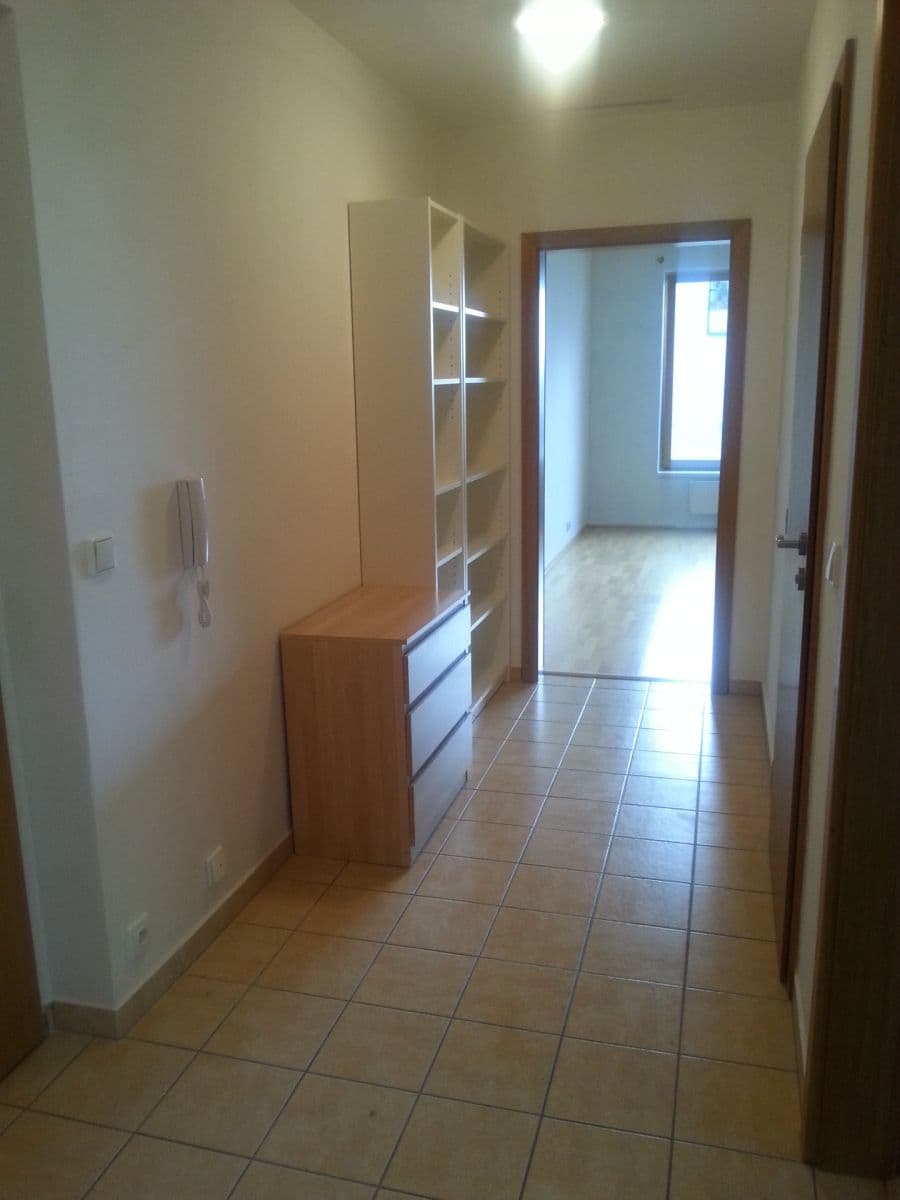 1 bedroom with open-plan kitchen flat to rent, 55 m², Jeseniova, Prague, Prague 1 bedroom with open-plan kitchen flat to rent, 55 m², Jeseniova, Prague, Prague