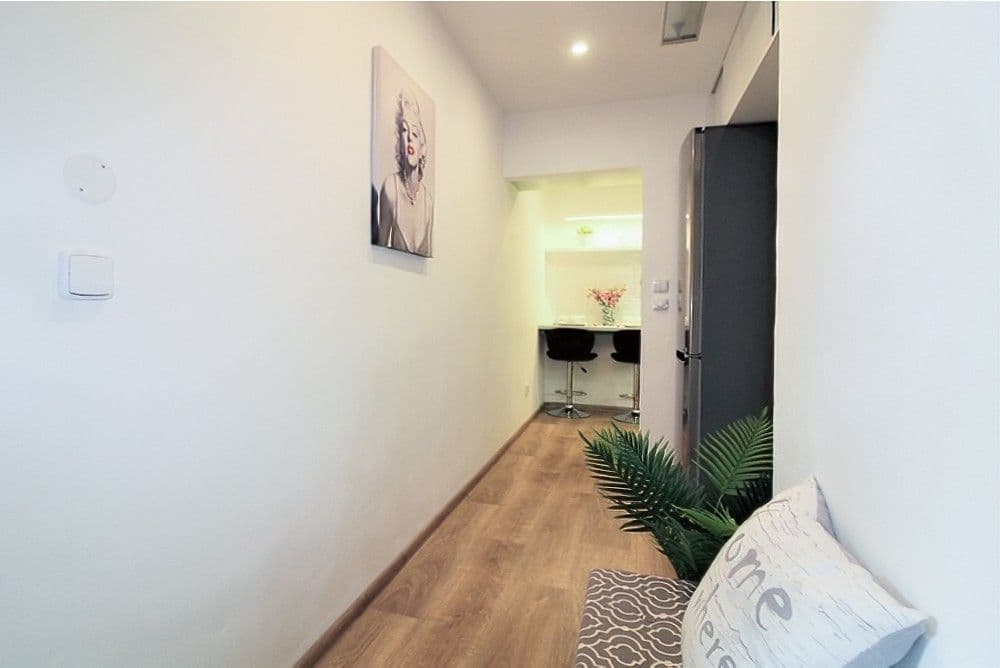 1 bedroom flat to rent, 48 m², Vítkova, Prague, Prague 1 bedroom flat to rent, 48 m², Vítkova, Prague, Prague