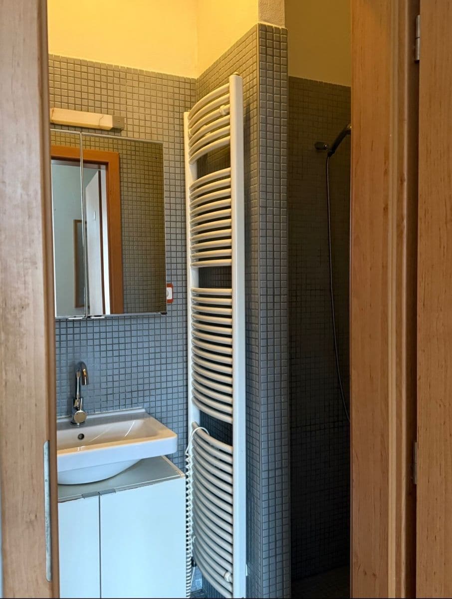 Studio flat to rent, 23 m², Heydukova, Prague, Prague Studio flat to rent, 23 m², Heydukova, Prague, Prague