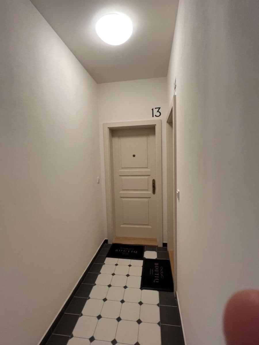 1 bedroom with open-plan kitchen flat to rent, 41 m², Tachovské náměstí, Prague, Prague 1 bedroom with open-plan kitchen flat to rent, 41 m², Tachovské náměstí, Prague, Prague