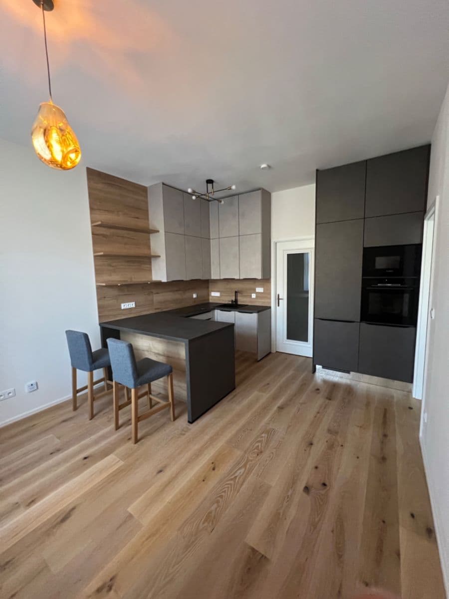 1 bedroom with open-plan kitchen flat to rent, 41 m², Tachovské náměstí, Prague, Prague 1 bedroom with open-plan kitchen flat to rent, 41 m², Tachovské náměstí, Prague, Prague