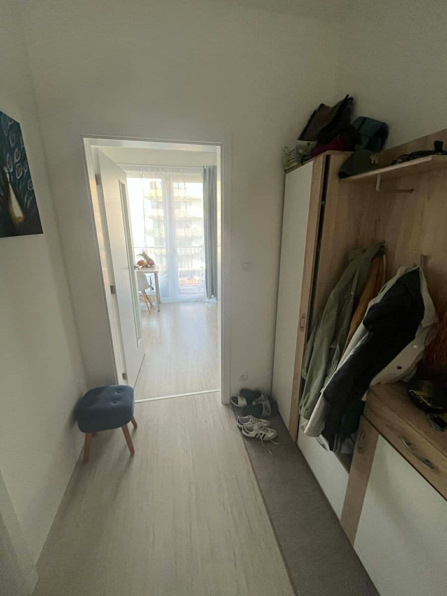 Studio flat to rent, 37 m², Sportovní, Brno, Jihomoravský Region Studio flat to rent, 37 m², Sportovní, Brno, Jihomoravský Region