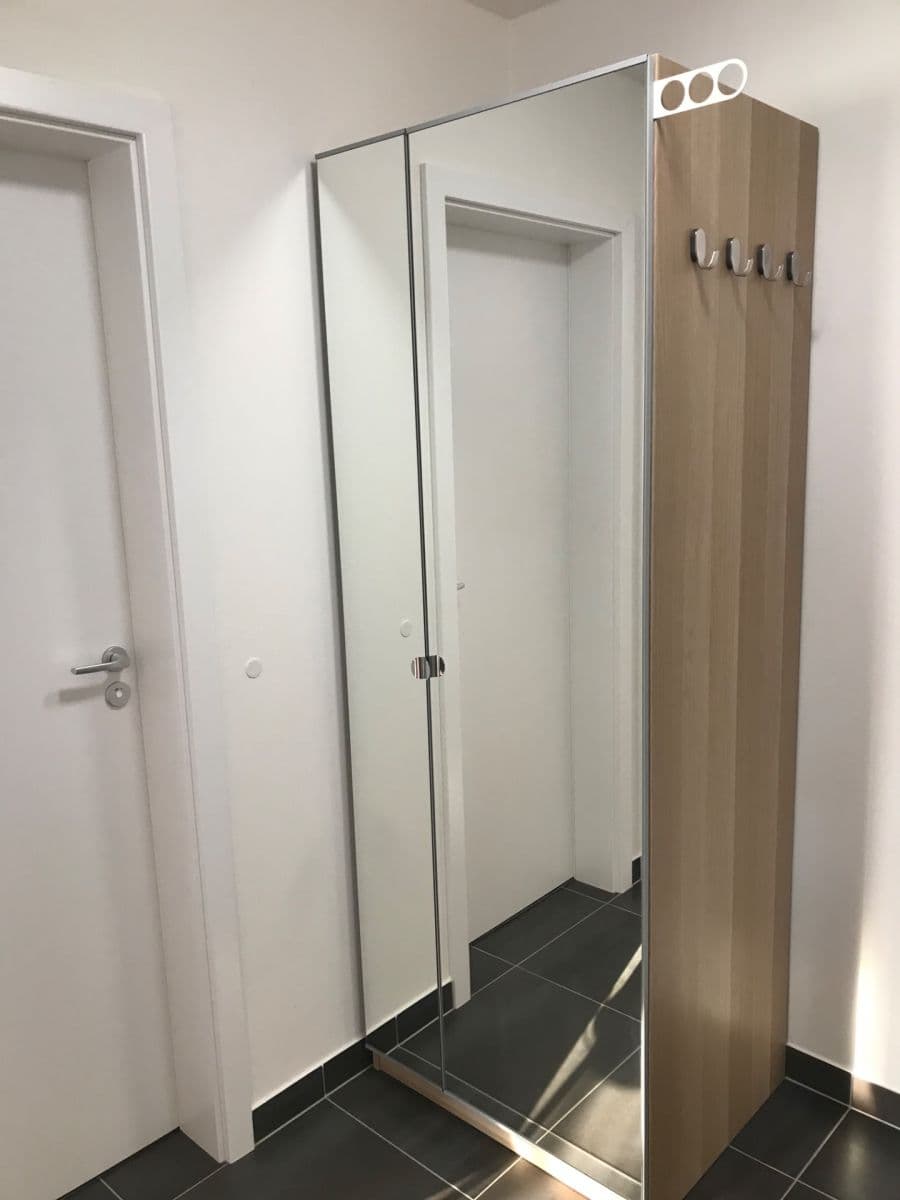 1 bedroom with open-plan kitchen flat to rent, 46 m², Oty Bubeníčka, Prague, Prague 1 bedroom with open-plan kitchen flat to rent, 46 m², Oty Bubeníčka, Prague, Prague