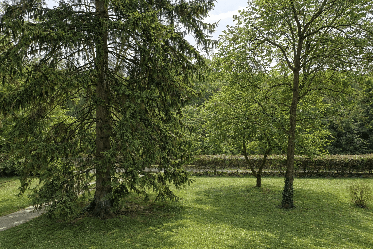 1 bedroom with open-plan kitchen flat for sale, 80 m², Sonnenberger Str. 73, Wiesbaden, Hesse 1 bedroom with open-plan kitchen flat for sale, 80 m², Sonnenberger Str. 73, Wiesbaden, Hesse