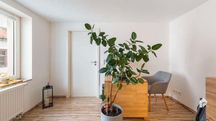 4 bedroom flat to rent, 127 m², Bad Belzig, Brandenburg 4 bedroom flat to rent, 127 m², Bad Belzig, Brandenburg