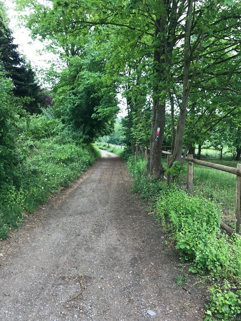 1 bedroom with open-plan kitchen flat to rent, 62 m², Haan, North Rhine-Westphalia 1 bedroom with open-plan kitchen flat to rent, 62 m², Haan, North Rhine-Westphalia