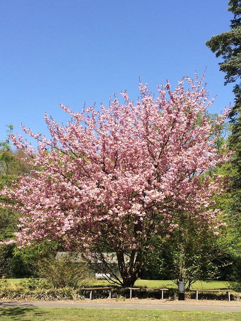 1 bedroom flat to rent, 25 m², Hamburg-Mitte, Hamburg 1 bedroom flat to rent, 25 m², Hamburg-Mitte, Hamburg