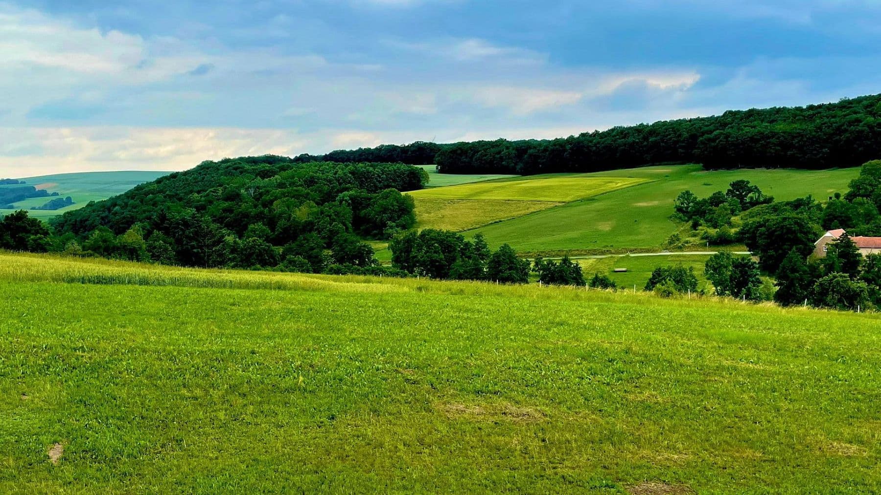 plot for sale, 561 m², Turnhallenstraße 6, Ransweiler, Rhineland-Palatinate plot for sale, 561 m², Turnhallenstraße 6, Ransweiler, Rhineland-Palatinate