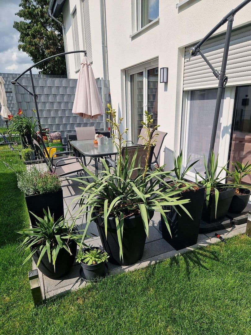 house to rent, 137 m², Paderborn, North Rhine-Westphalia house to rent, 137 m², Paderborn, North Rhine-Westphalia