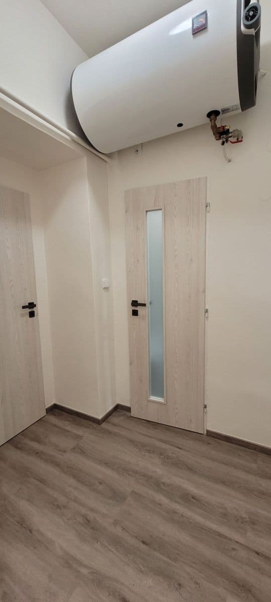 1 bedroom with open-plan kitchen flat to rent, 43 m², Horní, Prague, Prague 1 bedroom with open-plan kitchen flat to rent, 43 m², Horní, Prague, Prague