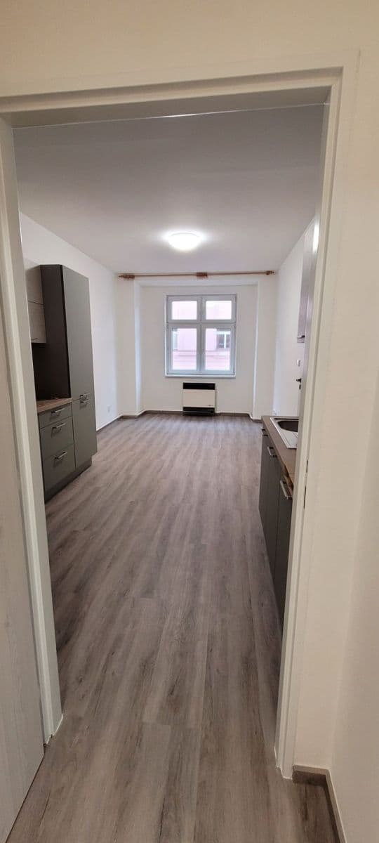 1 bedroom with open-plan kitchen flat to rent, 43 m², Horní, Prague, Prague 1 bedroom with open-plan kitchen flat to rent, 43 m², Horní, Prague, Prague