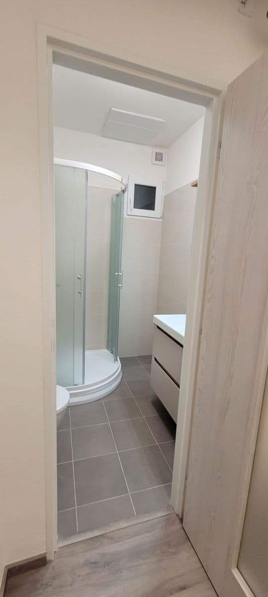 1 bedroom with open-plan kitchen flat to rent, 43 m², Horní, Prague, Prague 1 bedroom with open-plan kitchen flat to rent, 43 m², Horní, Prague, Prague