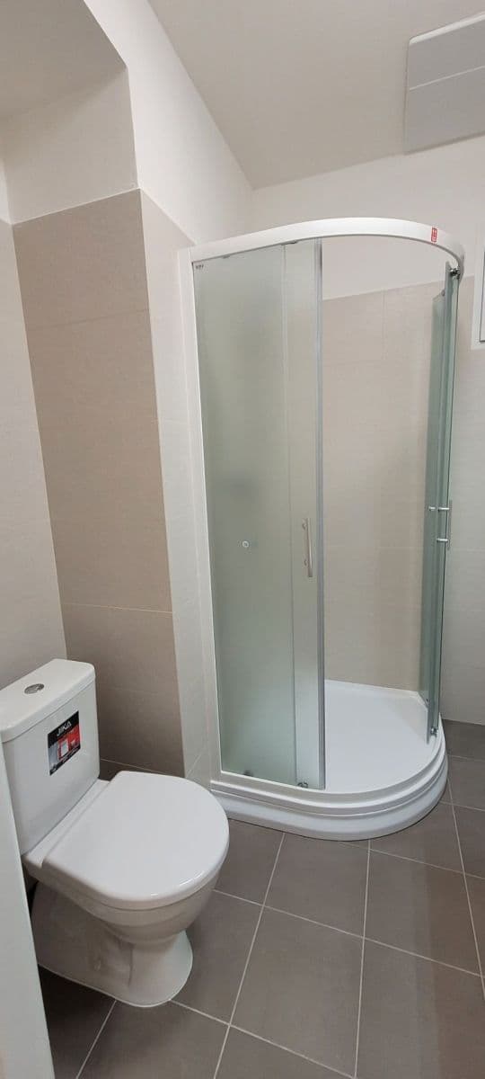 1 bedroom with open-plan kitchen flat to rent, 43 m², Horní, Prague, Prague 1 bedroom with open-plan kitchen flat to rent, 43 m², Horní, Prague, Prague