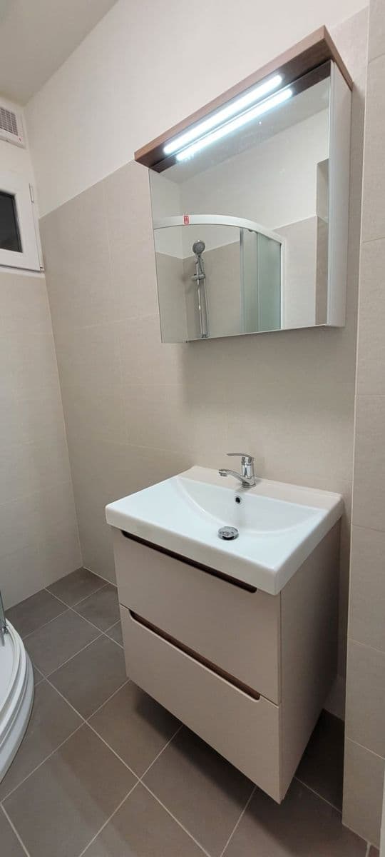 1 bedroom with open-plan kitchen flat to rent, 43 m², Horní, Prague, Prague 1 bedroom with open-plan kitchen flat to rent, 43 m², Horní, Prague, Prague