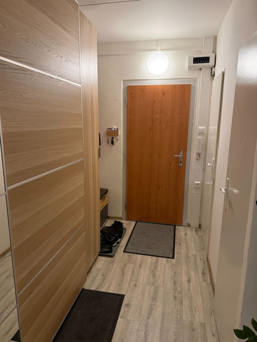 1 bedroom with open-plan kitchen flat to rent, 43 m², Luhovská, Prague, Prague 1 bedroom with open-plan kitchen flat to rent, 43 m², Luhovská, Prague, Prague