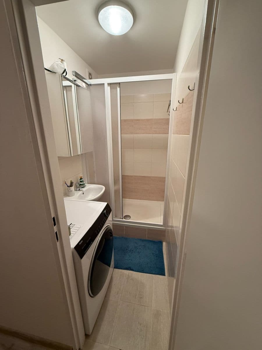 1 bedroom with open-plan kitchen flat to rent, 43 m², Luhovská, Prague, Prague 1 bedroom with open-plan kitchen flat to rent, 43 m², Luhovská, Prague, Prague