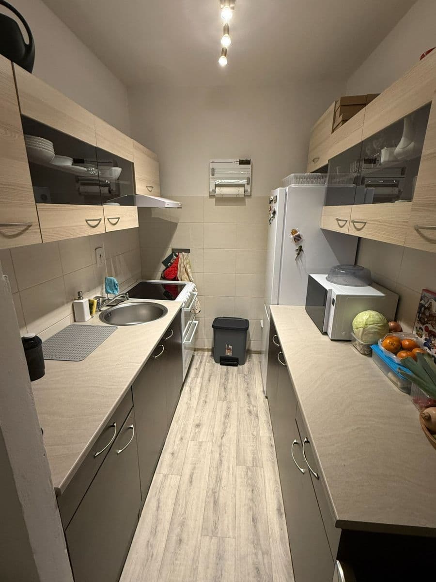 1 bedroom with open-plan kitchen flat to rent, 43 m², Luhovská, Prague, Prague 1 bedroom with open-plan kitchen flat to rent, 43 m², Luhovská, Prague, Prague