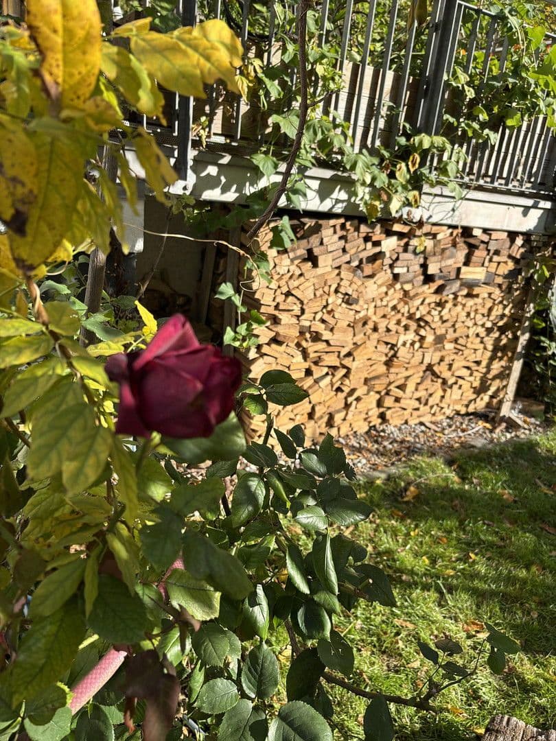 house for sale, 230 m², Friedrich-Pecht-Weg, 10, Konstanz, Baden-Württemberg house for sale, 230 m², Friedrich-Pecht-Weg, 10, Konstanz, Baden-Württemberg