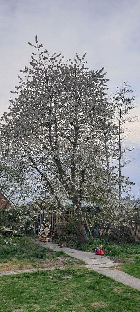 house for sale, 140 m², Wurster Nordseeküste, Lower Saxony house for sale, 140 m², Wurster Nordseeküste, Lower Saxony