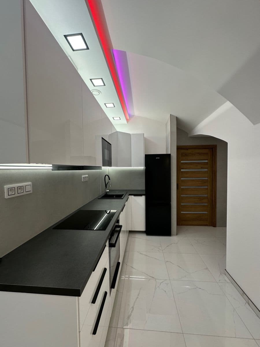 1 bedroom with open-plan kitchen flat to rent, 48 m², Sokolovská, Prague, Prague 1 bedroom with open-plan kitchen flat to rent, 48 m², Sokolovská, Prague, Prague