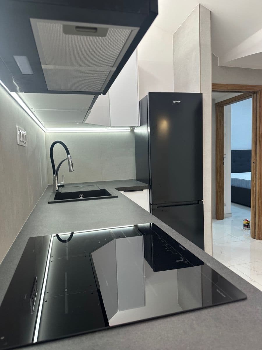 1 bedroom with open-plan kitchen flat to rent, 48 m², Sokolovská, Prague, Prague 1 bedroom with open-plan kitchen flat to rent, 48 m², Sokolovská, Prague, Prague