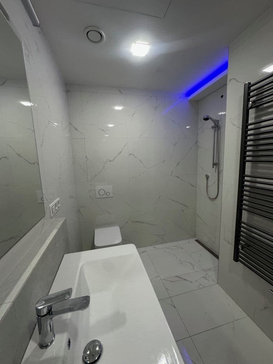 1 bedroom with open-plan kitchen flat to rent, 48 m², Sokolovská, Prague, Prague 1 bedroom with open-plan kitchen flat to rent, 48 m², Sokolovská, Prague, Prague