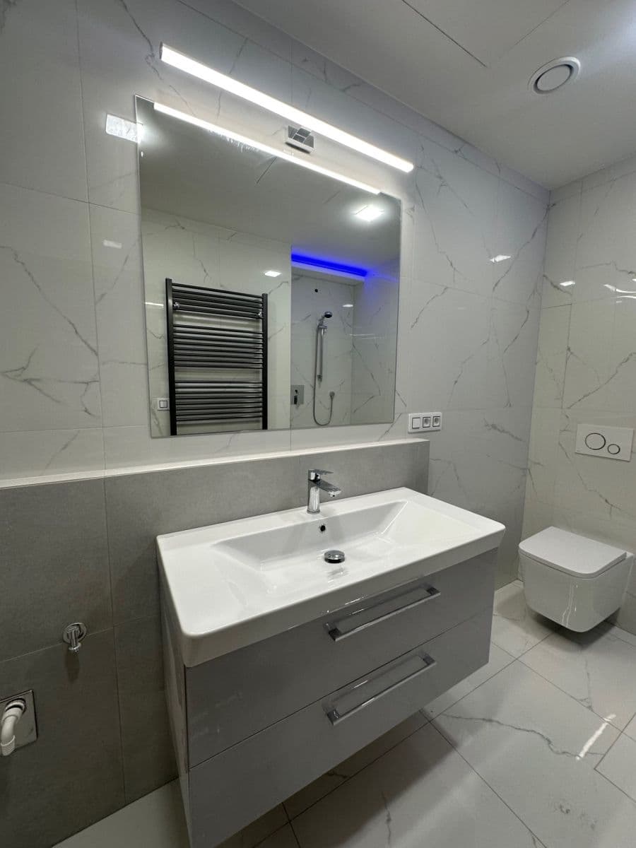 1 bedroom with open-plan kitchen flat to rent, 48 m², Sokolovská, Prague, Prague 1 bedroom with open-plan kitchen flat to rent, 48 m², Sokolovská, Prague, Prague