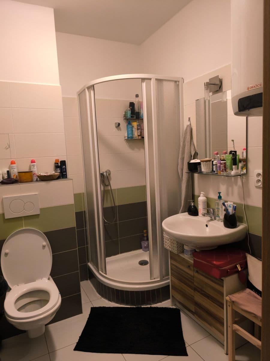 1 bedroom with open-plan kitchen flat to rent, 43 m², Mirešická, Jinočany, Středočeský Region 1 bedroom with open-plan kitchen flat to rent, 43 m², Mirešická, Jinočany, Středočeský Region