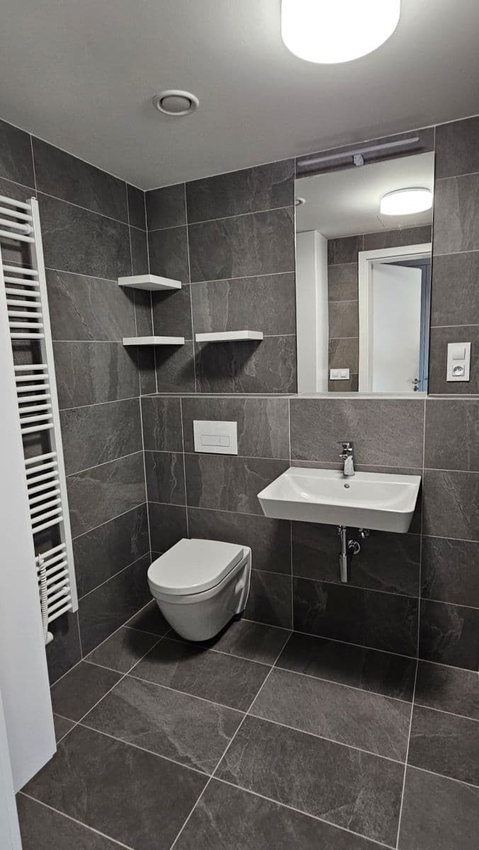 Studio flat to rent, 33 m², Bratislavská, Brno, Jihomoravský Region Studio flat to rent, 33 m², Bratislavská, Brno, Jihomoravský Region