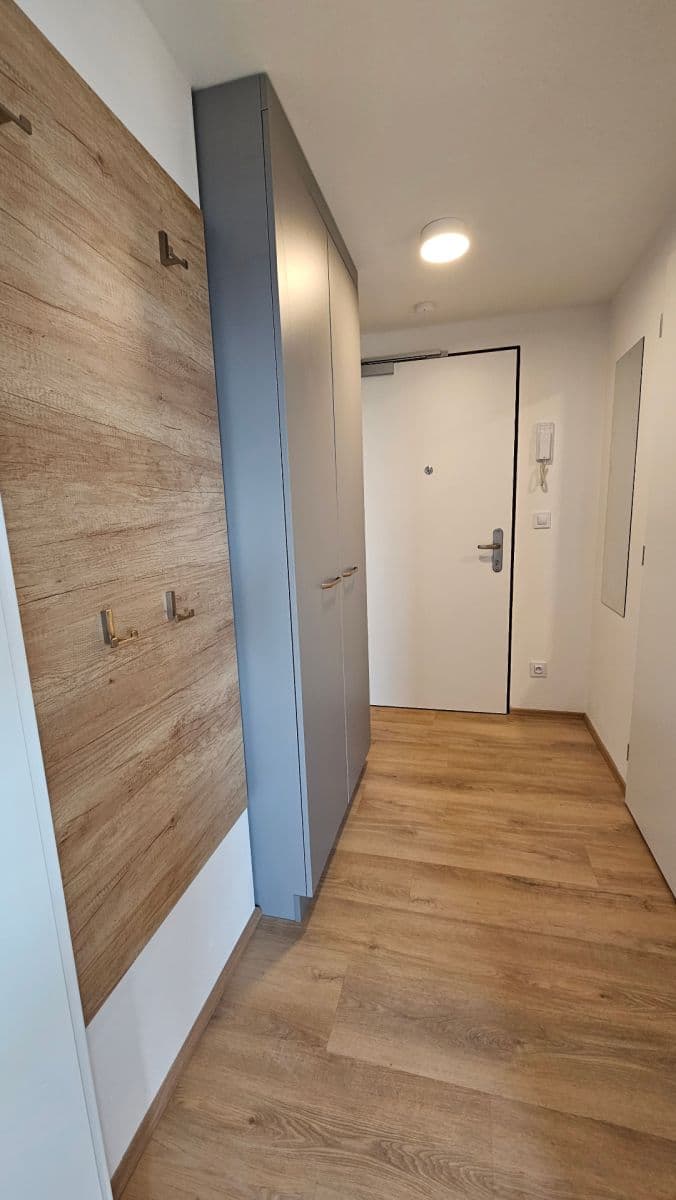 Studio flat to rent, 33 m², Bratislavská, Brno, Jihomoravský Region Studio flat to rent, 33 m², Bratislavská, Brno, Jihomoravský Region