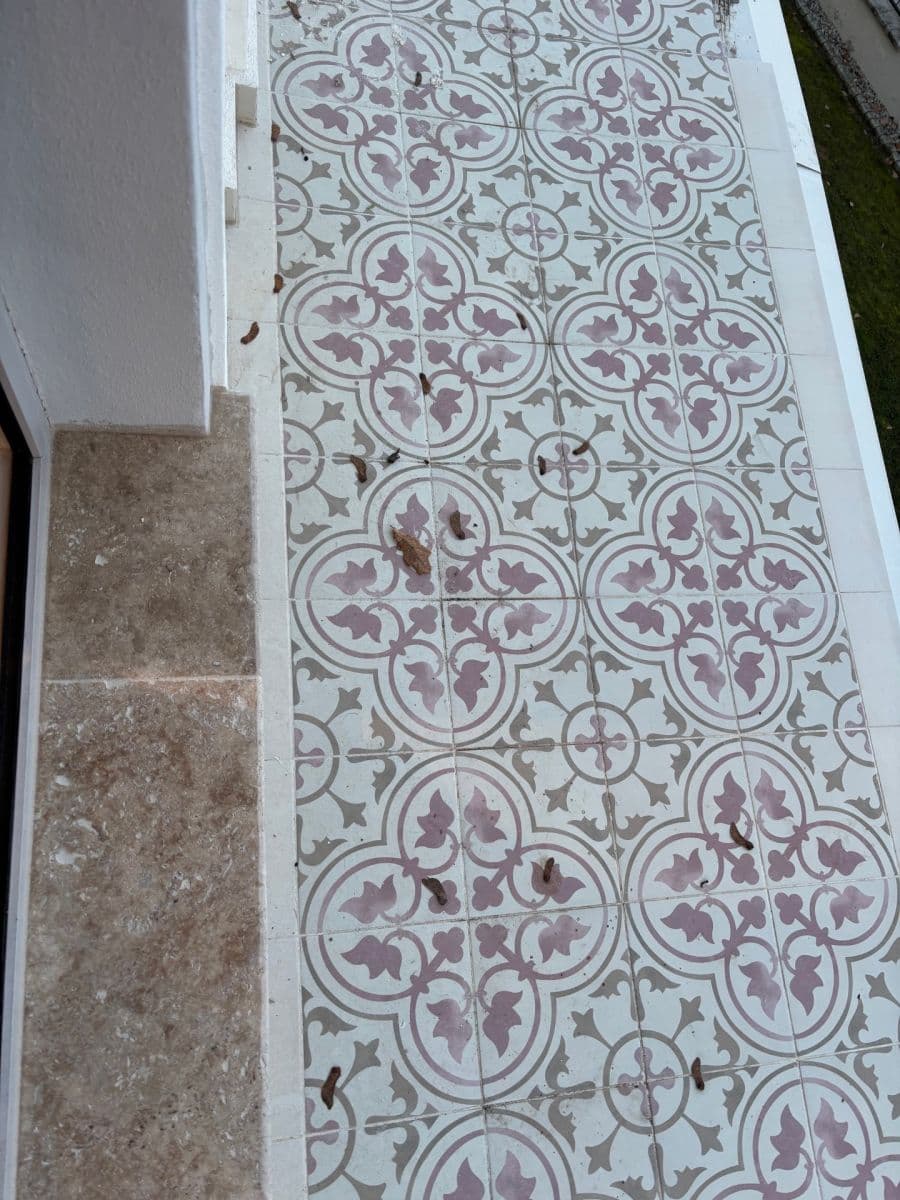 2 bedroom with open-plan kitchen flat for sale, 100 m², Dobřanská, Chotěšov, Plzeňský Region 2 bedroom with open-plan kitchen flat for sale, 100 m², Dobřanská, Chotěšov, Plzeňský Region