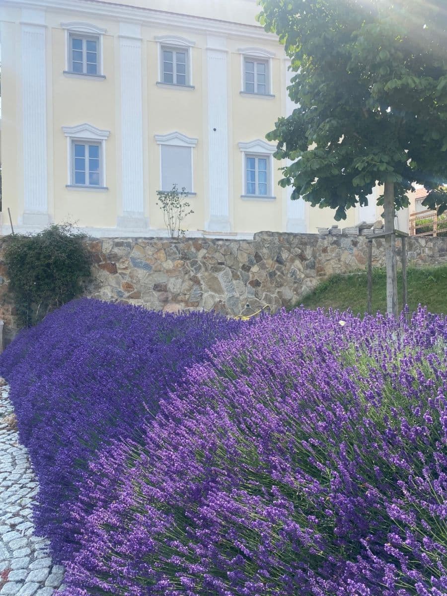 2 bedroom with open-plan kitchen flat for sale, 100 m², Dobřanská, Chotěšov, Plzeňský Region 2 bedroom with open-plan kitchen flat for sale, 100 m², Dobřanská, Chotěšov, Plzeňský Region