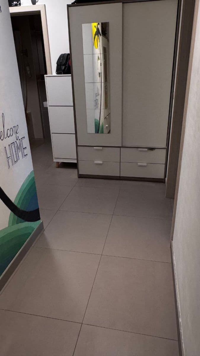 1 bedroom with open-plan kitchen flat to rent, 60 m², Pod Kavalírkou, Prague, Prague 1 bedroom with open-plan kitchen flat to rent, 60 m², Pod Kavalírkou, Prague, Prague