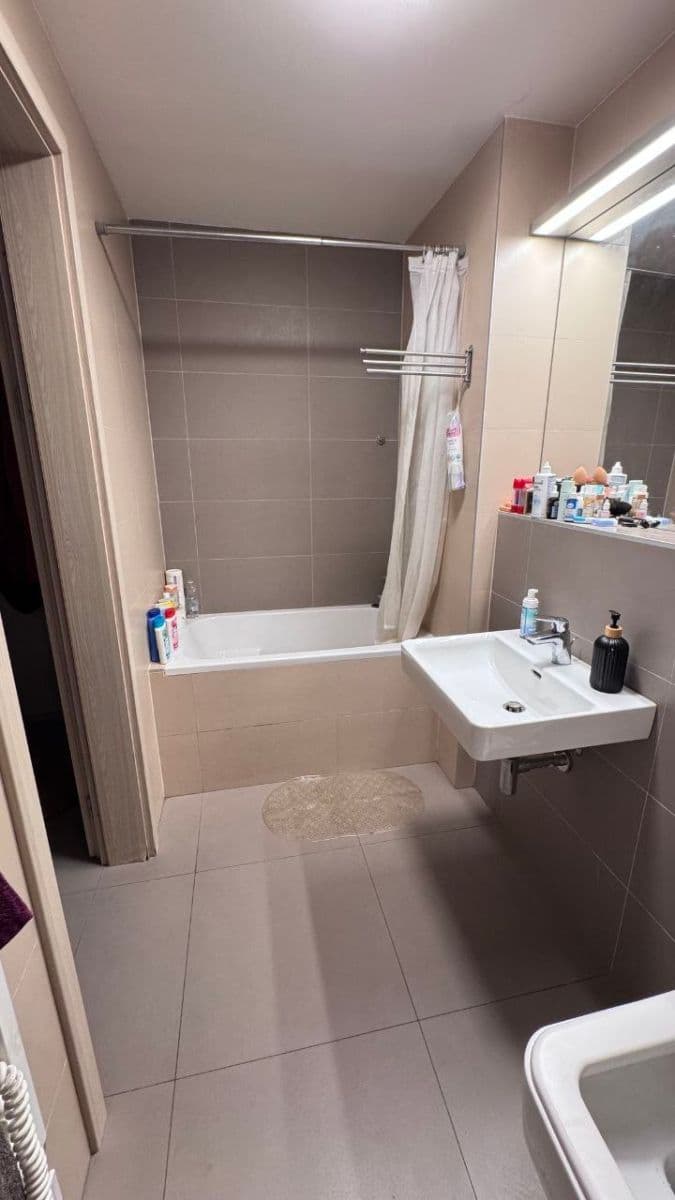 1 bedroom with open-plan kitchen flat to rent, 60 m², Pod Kavalírkou, Prague, Prague 1 bedroom with open-plan kitchen flat to rent, 60 m², Pod Kavalírkou, Prague, Prague