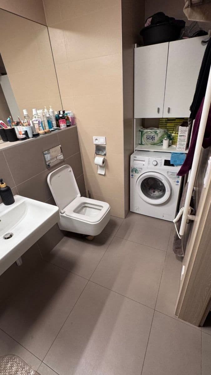 1 bedroom with open-plan kitchen flat to rent, 60 m², Pod Kavalírkou, Prague, Prague 1 bedroom with open-plan kitchen flat to rent, 60 m², Pod Kavalírkou, Prague, Prague