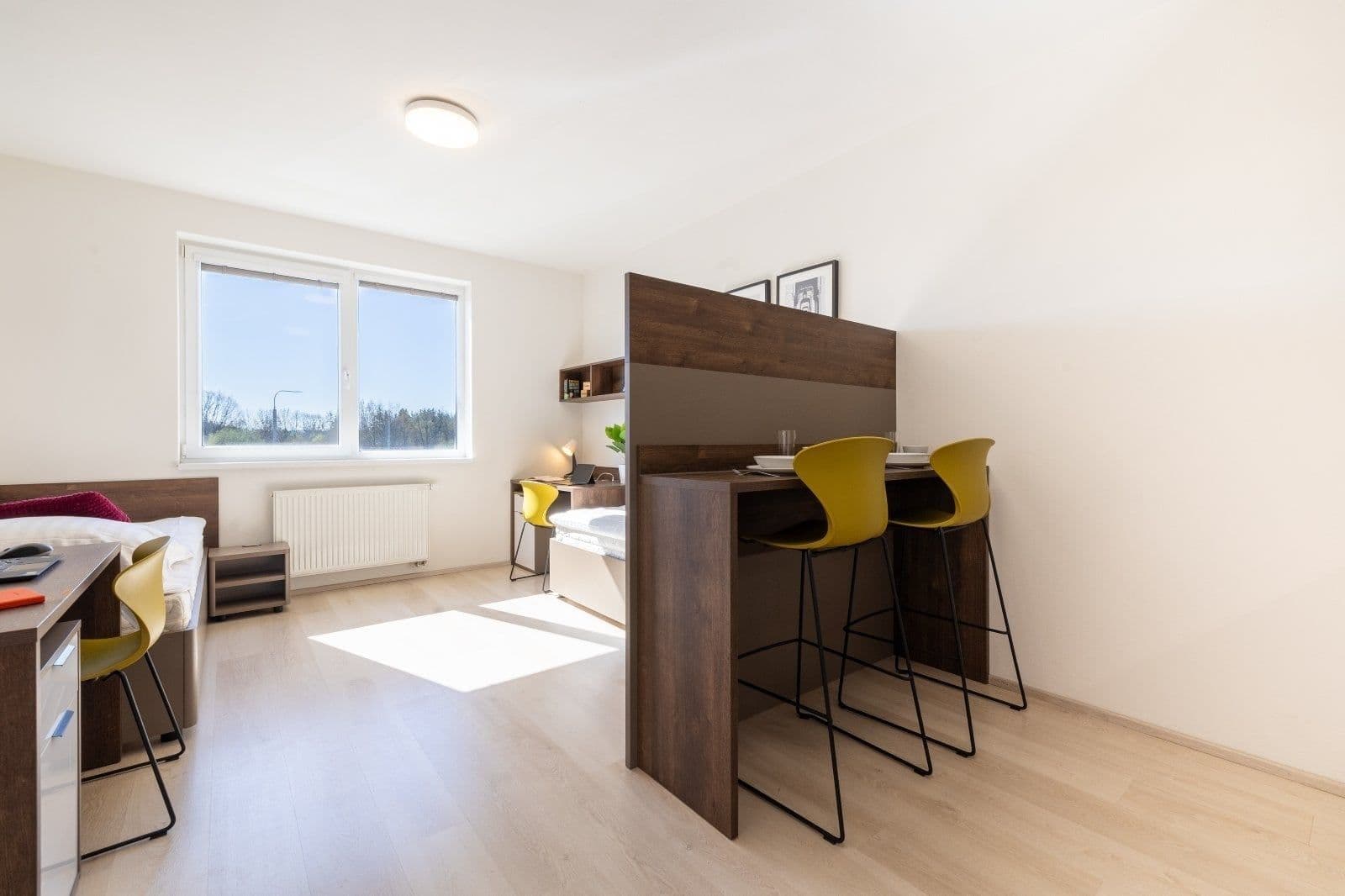 Studio flat to rent, 27 m², Magisterská, Plzeň, Plzeňský Region Studio flat to rent, 27 m², Magisterská, Plzeň, Plzeňský Region