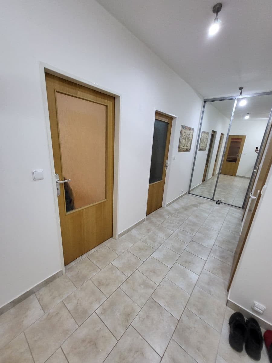 1 bedroom with open-plan kitchen flat to rent, 64 m², Štichova, Prague, Prague 1 bedroom with open-plan kitchen flat to rent, 64 m², Štichova, Prague, Prague